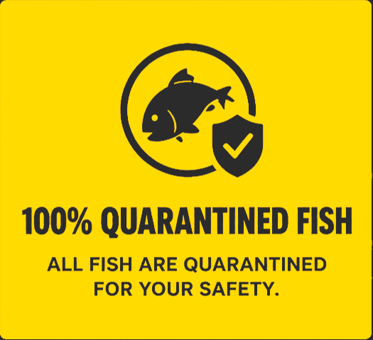 100% quarantined fish — all fish are quarantined for your safety